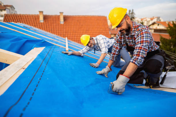 Best Storm Damage Roof Repair  in Eustace, TX