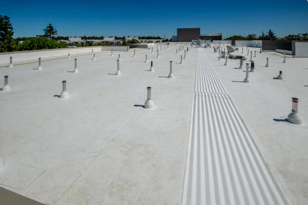 Best Metal Roofing Installation  in Eustace, TX
